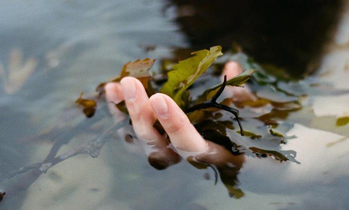 An outdoor bathing experience. Wild seaweed baths by Halen Môn, the first in Wales. Soak in the restorative power of seaweed.
